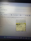 100mg sample pack